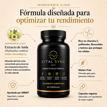 Vital Sync™ — Más claridad. Más energía. Más balance.